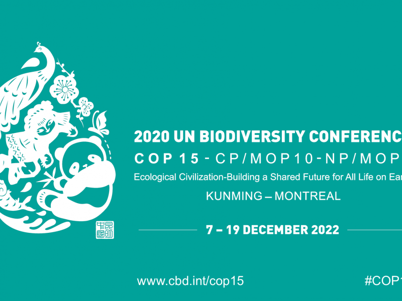 D -1 Before The COP15 Of The Convention On Biological Diversity